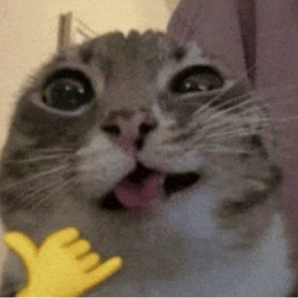 Meet your Posher, Yezenia